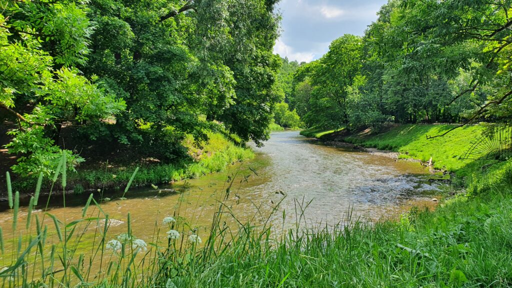 Riverside seating in Vilnius near park areas - ideal spot for relaxation in Lithuania’s green capital