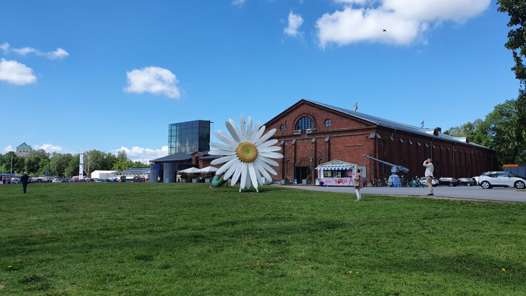 Daisy in Turku